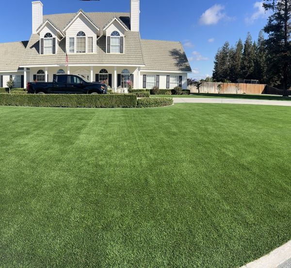 Large front lawn in artificial turf
