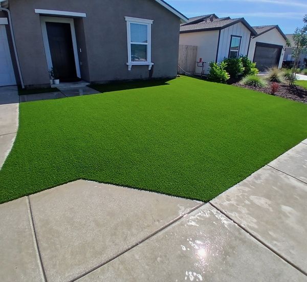 Front yard turf beside a driveway