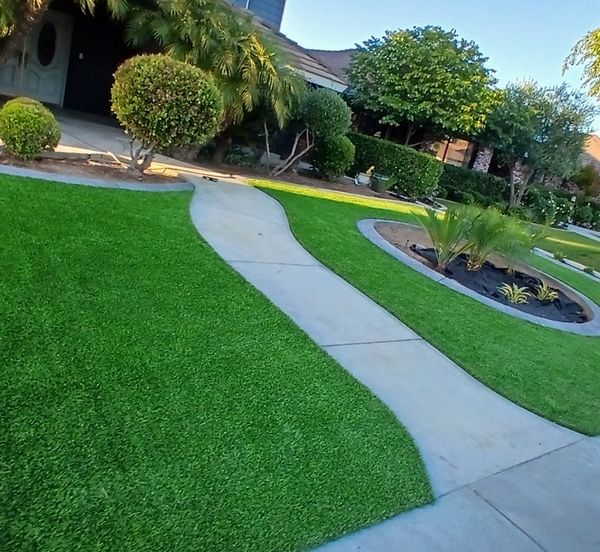 Curved walkway between turf lawns
