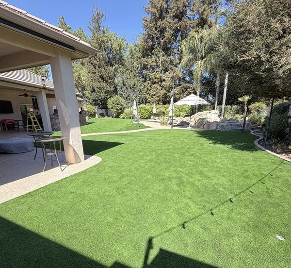 Large backyard turf lawn